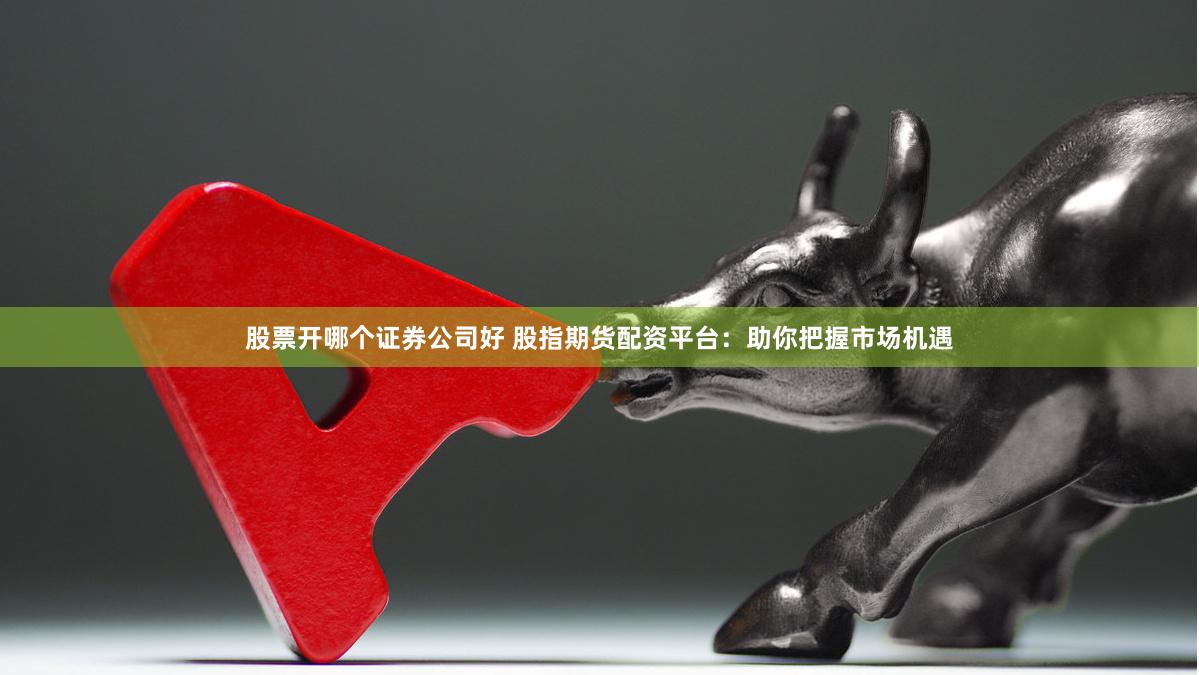 股票开哪个证券公司好 股指期货配资平台：助你把握市场机遇