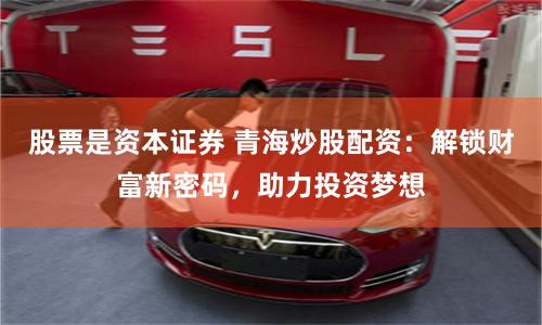 股票是资本证券 青海炒股配资：解锁财富新密码，助力投资梦想
