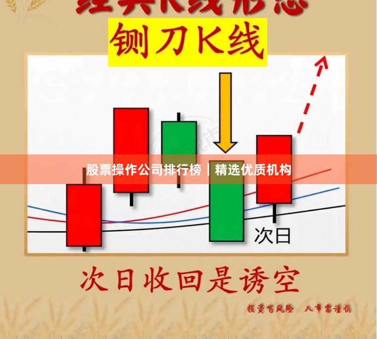 股票操作公司排行榜｜精选优质机构